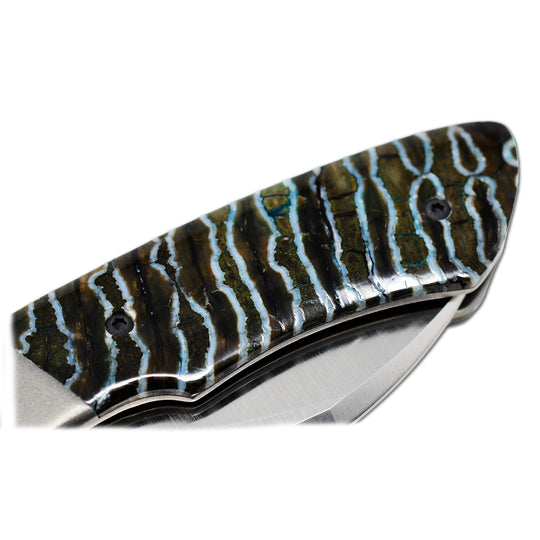 Olamic WhipperSnapper mammoth tooth scales