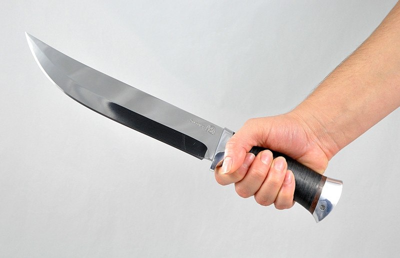 Chieftain - large hunting knife from Rosarms in the hand